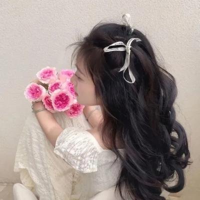 鸥鸟落亡于海港